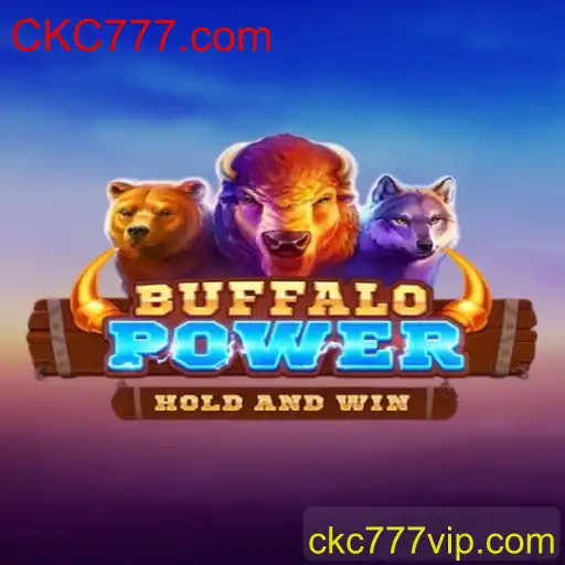 Descubra o Mundo de BuffaloPower e a Plataforma CKC777.com